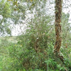 1192