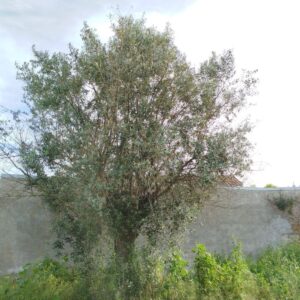874