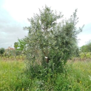 1374