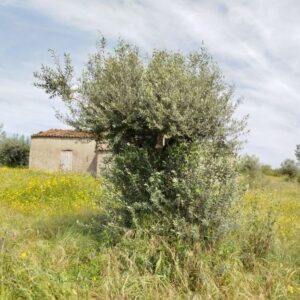 1398
